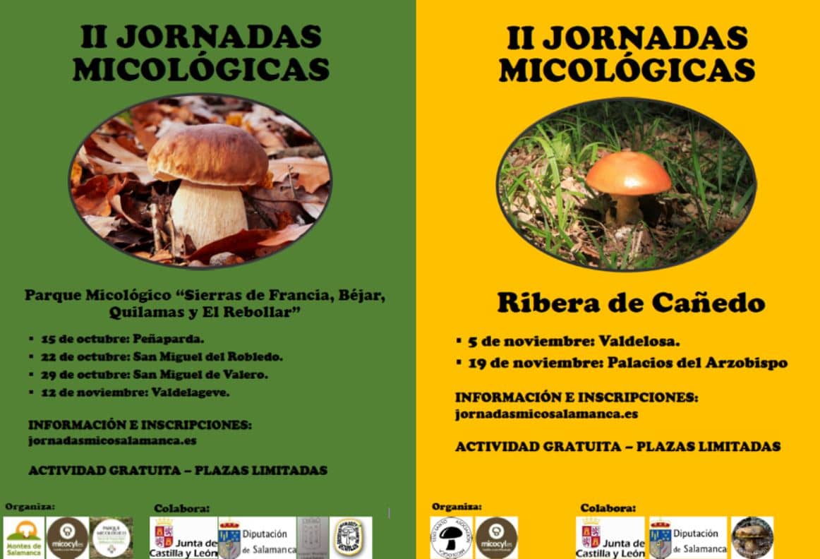 II Jornadas Micológicas en Salamanca