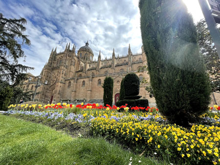 Catedral Nueva de Salamanca en primavera