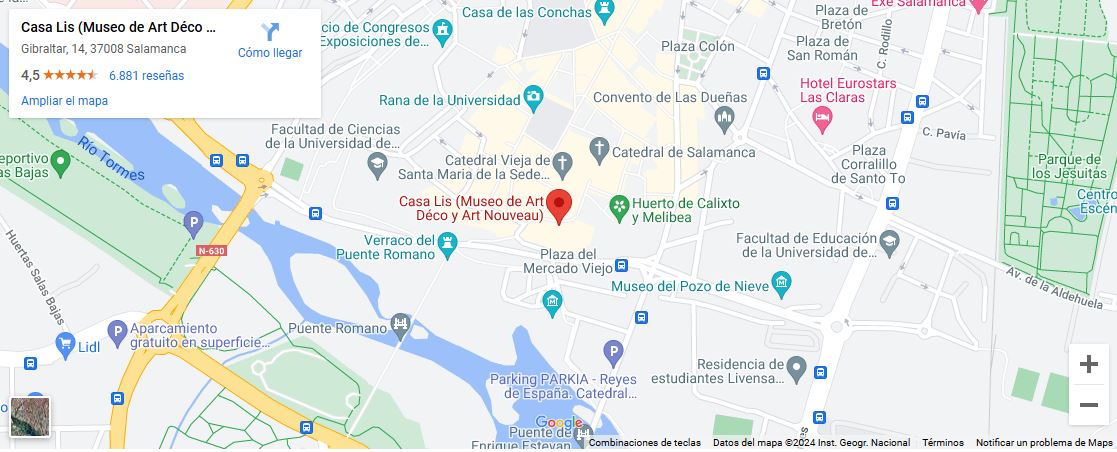 Ubicación de la Casa Lis. Salamanca