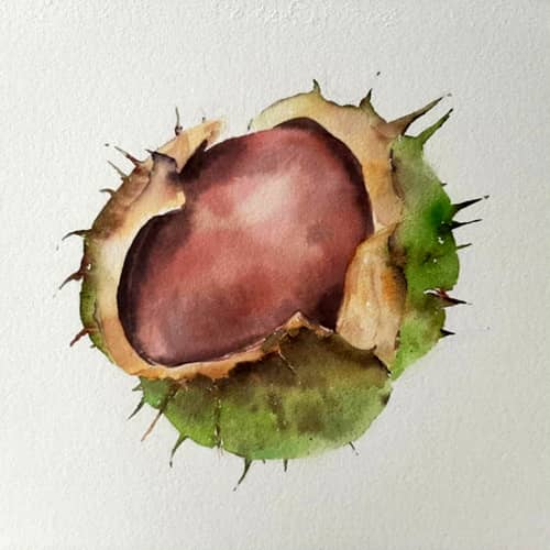 Acuarela - Otoño